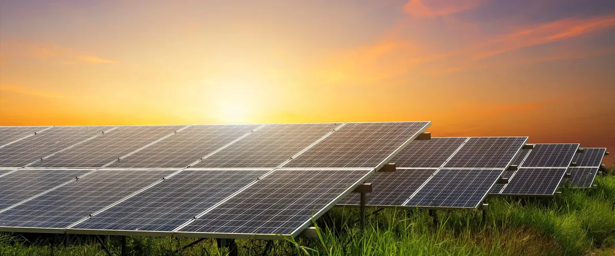Rows of solar panels at sunset